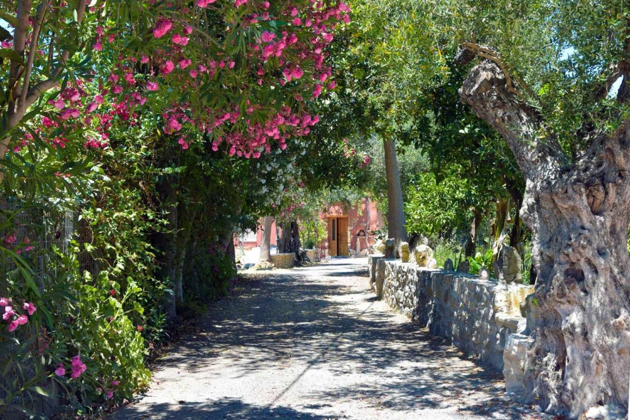 Avocado Villas Χανιά Εξωτερικό φωτογραφία